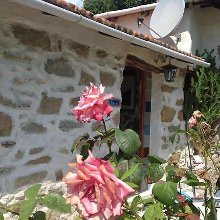 Villa D'Arte Mortola Superiore Cameră foto