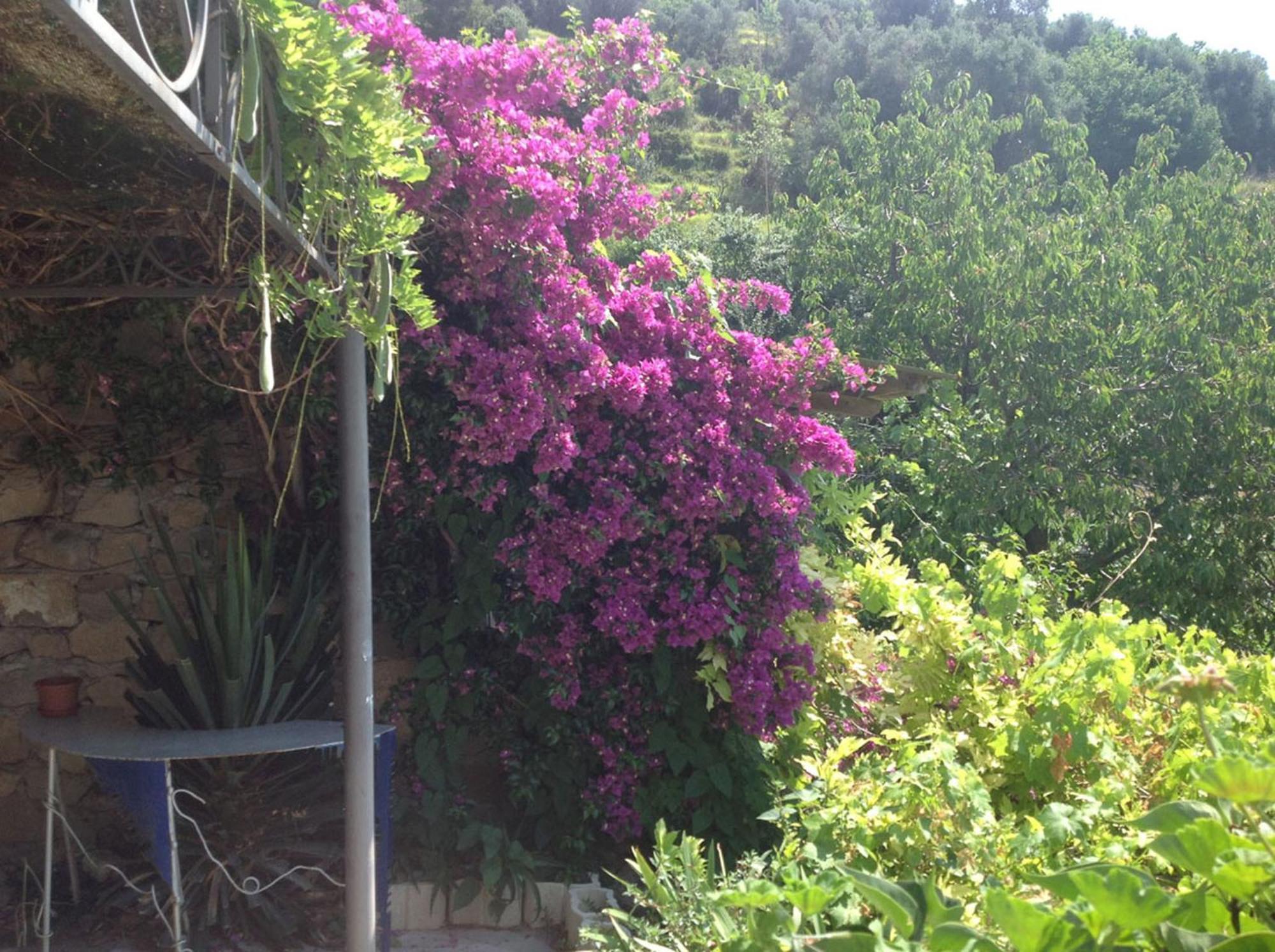 Villa D'Arte Mortola Superiore Cameră foto